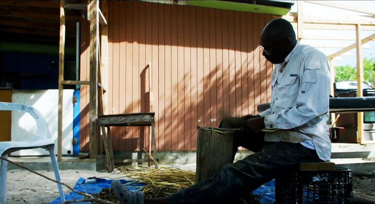Un local quita la corteza de la cascarilla para extraer aceite, que luego se utilizará en cócteles de todo el mundo.